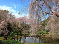 荒井城址公園(神奈川県真鶴町)へ・・・