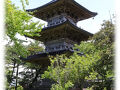 新潟県の旅行記
