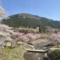 4トラ友さんに案内して頂く女子旅　　vol.1　花盛り・温泉・歴史の群馬編