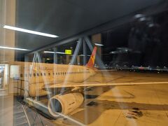 羽田に深夜1時着..！？ 天津航空 天津→羽田 搭乗記