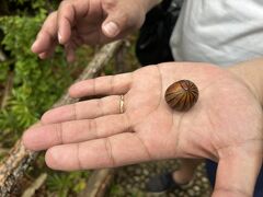 親子3人旅inコタキナバルからのセピロック⑦
