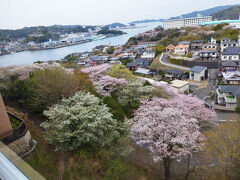 春旅は桜を求めて滋賀・三重・愛知へ（５）亀の井ホテル鳥羽