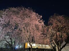 どこかにビューーン！ で蔵王～山形～米沢 ②