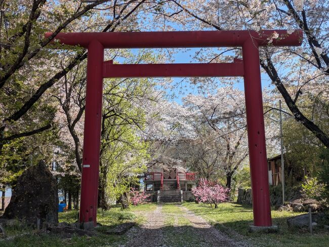 山梨県笛吹市の桃の花祭り、散策のDコースに行ってきました。
