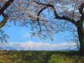 ♭（フラっと）富山