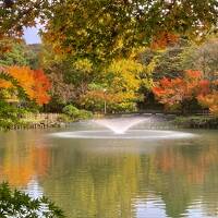 2.カニ食べに行こう！北陸3県を巡る3泊4日のツアー(富山編)