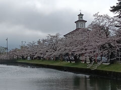 観光列車「海里」に乗って鶴岡市の桜を愛でに行きました(*^-^*)