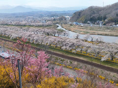 南東北、観桜の旅　後編