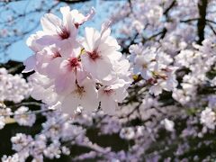 おおきに　ありがとさーん　大阪　京都　２