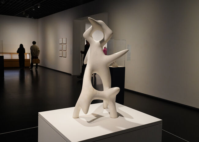 MOMATコレクション展は、東京国立近代美術館が、1952年の開館以来の活動を通じて収集してきた13,000点超の所蔵作品から、会期ごとに約200点を展示する国内最大級のコレクション展です。そして、それぞれ小さなテーマが立てられた全13室のつながりによって、19世紀末から今日に至る日本の近現代美術の流れをたどることができる国内随一の展示です。2025.2.11-6.15のコレクション展から(1)(2)(3)で紹介されていない作品を中心にアップしていきます。<br />MOMATコレクション(1)2021年3月23日-2021年5月16日<br />https://4travel.jp/travelogue/11689733<br />MOMATコレクション(2)2023.3.17-5.14<br />https://4travel.jp/travelogue/11828613<br />MOMATコレクション(3) 2024.4.16-8.25<br />https://4travel.jp/travelogue/11910405