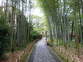 2022年　10月　静岡県　伊豆市　修善寺温泉