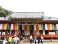 天野山　金剛寺にて国宝の金堂三尊像を拝観しました。（2025年4月18日）