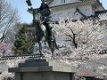 満開の桜の中の大垣城見学