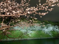 千鳥ヶ淵散策　お花見へ