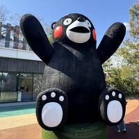 2025年 九州-B （熊本）山鹿温泉 ビジネス新青山荘、満願寺温泉、寺尾野温泉