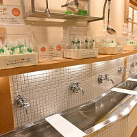 2025春　瀬戸内海を渡って道後温泉(道後御湯)と呉・広島(ヒルトン広島)の旅