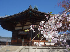 法隆寺夢殿の秘仏・救世観音にはじめてお会いしました。
