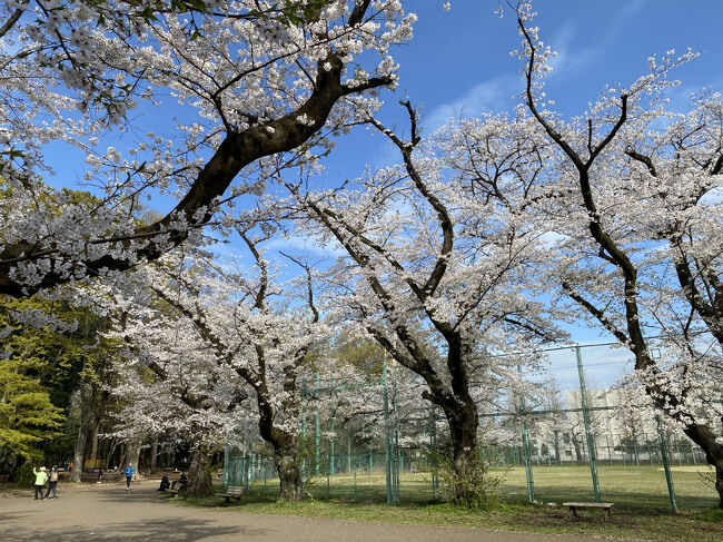 3連休となった今回の最終日は石神井公園に行ってきました。