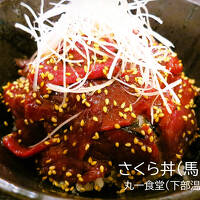 ［静岡・山梨・長野・群馬ぐるめ 初日：後編］ 秘湯・美肌の湯「奈良田温泉 女帝の湯」と山梨Ｂ級グルメ「鳥もつ煮」・絶品！「さくら丼」