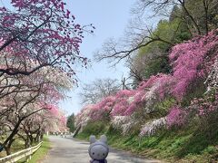 わ鐵