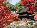 色鮮やかな虎渓山永保寺とオリベストリート