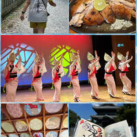 ２０２４年８月　観光とグルメも満喫♪四国八十八ヶ所霊場巡り②７番十楽寺～１７番井戸寺～王子神社～絶品阿波尾鶏～阿波おどり会館～御翔印もネ♪