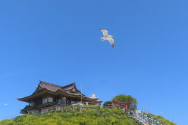 日本一周海岸線ドライブの旅　Part1　（その10　ウミネコが来るというより住んでる蕪島神社）