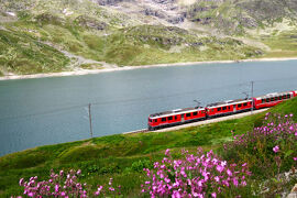 伯母桜３人でスイスハイキングと鉄道の旅（４日目）：ベルニナ急行と沿線のハイキング