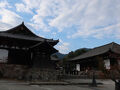 2023年　11月　奈良県　葛城市　當麻寺など