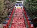 2024年　2月　千葉県　勝浦市　朝市＆遠見岬神社