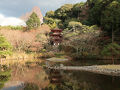 2025年　1月　京都府　木津川市　浄瑠璃寺
