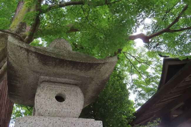 日本一周海岸線ドライブの旅　Part1　（その14　旅はいよいよ関東に）