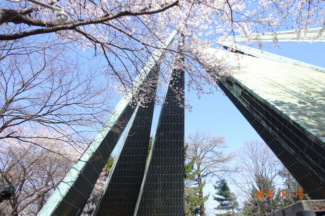 桜が満開！　仁川自由公園を散策 
