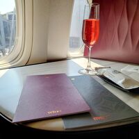 今年も行きますワンワールド ビジネスクラスで世界一周2025ヽ(^o^)丿☆今年は5大陸 二大瀑布を巡る旅☆ 計画と準備について