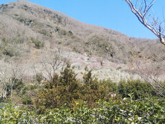 伊豆長岡ー沼津ー湯河原
