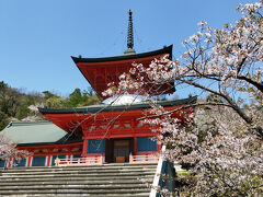 姉妹旅・今年は長野へ（１）桜咲く善光寺雲上殿に行ってみました