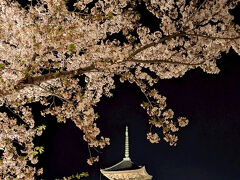 母の三回忌帰り、春の京都を堪能