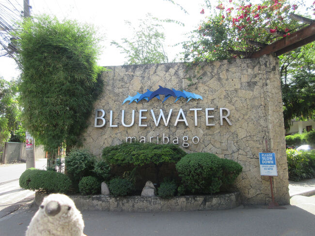 少しは円高傾向になってきたとはいえ、まだまだ高い海外旅行。<br />そんなこともあって、今までは治安や衛生面からちょっと敬遠気味だったフィリピンセブ島に、今回はコスパ重視で思い切って行って参りました。<br /><br />思っていたよりずっと素敵なセブの空と海、一方でフィリピンらしい（？）ハプニングにも出会うなどいろいろと印象深い旅となりました。<br /><br />Part1はセブ島のビーチリゾートでのんびり。