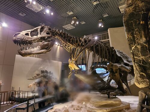 2025年4月 4歳児とGWに国立科学博物館にいってきた』上野・御徒