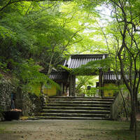 滋賀・岐阜　西国三十三所結願の旅【3】第32番観音正寺と永源寺