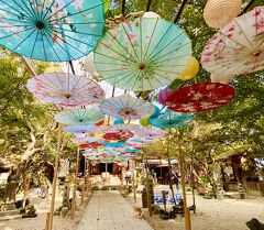博多一泊二日2024.11月(後)かえる寺如意輪寺/ケーキ屋レーブドベベ/アーリントンアンティークヴィレッジ
