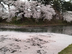 みちのく三大桜めぐりツアーで行ってきた③　弘前