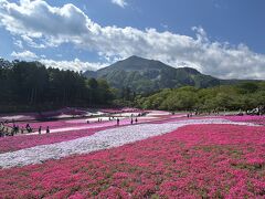 秩父でハイキング　武甲山と芝桜の羊山公園からスタート