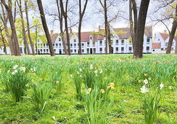 春爛漫！夢のオランダ・ベルギー8日間　3日目 アントワープ～ブルージュ 編