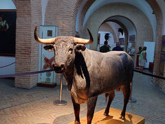 スペイン、ポルトガル１　　　　　　　　　　　　～ただ飲んで食べる一人旅～