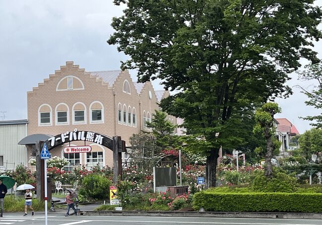 ⑧マダムの暮らすように旅する福岡・佐賀・熊本5月編　4日目日帰りバスツアーの３　フードパル熊本＝基山＝博多