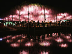 イルミネーション