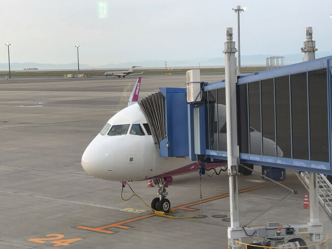 2025年4月23日から25日にかけて台湾へ行ってきました。<br /> セントレア23日夜出発25日朝到着の弾丸旅行、Peachの「弾丸往復運賃」で25,760円でした。<br /> 台湾では24時間余の滞在、当初は阿里山森林鉄道のリベンジ乗車を考えていましたが、指定席が相変わらずの瞬殺で確保できずあきらめ、代わりに南廻線を走る観光列車「藍皮解憂号」の切符を予約して反時計回りにぐるっと一周してくることにしました。<br /> セントレアに着いて、帰りもラウンド等巡りをしてから帰途につきます。