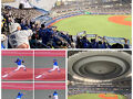 我らが横浜DENAベイスターズの応援で大阪へ！ついでに大阪の街をプラプラ。②京セラドーム大阪でタイガース戦です！ベイスターズの勝利！！
