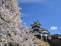 2025年4月16日～7泊8日　満開の東北6県桜の旅　1県目の福島県編（白河市～郡山市）
